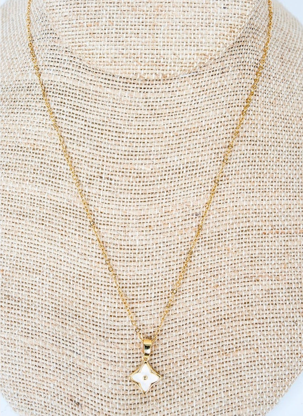Shiny Luxe Ranch Radiance Goldtone Necklace