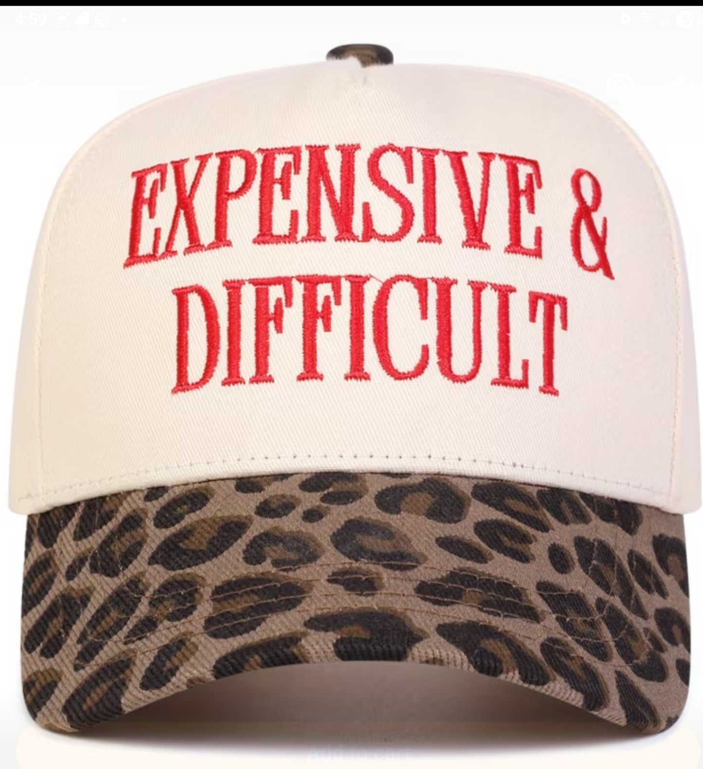 Expensive and Difficult Ballcap