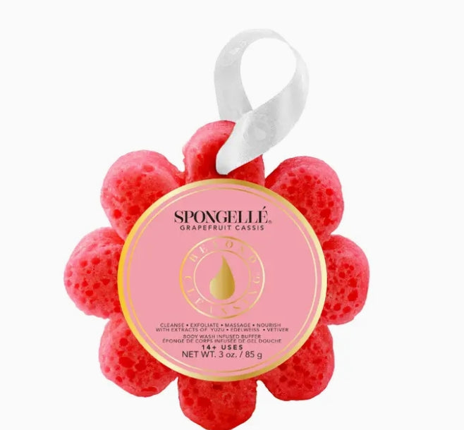 Spongelle' Soap Enfused Sponge with Hanger